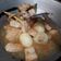 Cooksnap dari Galuh untuk resep 7. Tahu telur enak