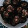 Cooksnap dari febriyanti herliani untuk resep Cookies Coco Crunch 🍫🍫🍪