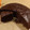 El cooksnap de Alejandra Galvez cuando hizo Queque de chocolate (también sirve para tortas).