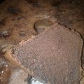Cooksnap dari Shi BelSa Surachmat untuk resep Bolu coklat panggang keju