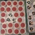 Cooksnap dari SHLink untuk resep Puding susu oreo