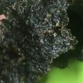 Cooksnap dari Chendera Ria Lim untuk resep Dendeng Daun singkong