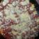 Cooksnap dari Suci Rahmawati untuk resep Sunny egg pizza atau pizza nasi