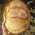 Mária Cooksnap-ja, amikor elkészítette a(z) Valéria kenyere receptet.