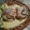 El cooksnap de Nora Ortiz cuando hizo Milanesa de pechuga de pollo con crema de elote .