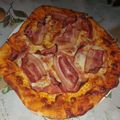 El cooksnap de Rosa Lopez Torrents cuando hizo Masa de Pizza en Panificadora.