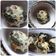 El cooksnap de Cecilia cuando hizo Muffins de espinaca y queso😋.