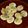 Brenda Ruchel 's cooksnap of when they made Tarragon Deviled Eggs.
