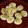 Brenda Ruchel 's cooksnap of when they made Tarragon Deviled Eggs.