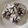 Cooksnap dari Ika IC untuk resep Chocolate Crinkle Cookies