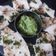 Sweta Keyur Dhokai's cooksnap of when they made ફરાળી ઢોકળા (Farali Dhokla Recipe In Gujarati).