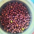 Mukta Shukla 's cooksnap of when they made Kala chana masala chaat / Black chickpeas masala chaat.
