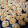 Cooksnap Misra Bakri semasa beliau membuat 👩‍🍳BISKUT : CORNFLAKE MADU 🌹.