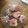 El cooksnap de MarielGuinea cuando hizo Buñuelos de manzana, sin gluten, sin lactosa.