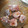 El cooksnap de MarielGuinea cuando hizo Buñuelos de manzana, sin gluten, sin lactosa.