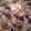 sanchr57's cooksnap of when they made Old fashioned Kielbasa and Cabbage.