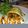 ovidio80's cooksnap of when they made Vickys Roasted Vegetable Strudel, Gluten, Dairy, Egg & Soy-Free, Vegetarian Christmas Dinner.