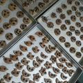 Cooksnap dari Lilianty Lie untuk resep Kuker coklat