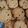 Cooksnap dari Ananta untuk resep chocochip cookies renyah