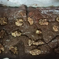 El cooksnap de Lidón Roig Bonastre cuando hizo Brownie fit.