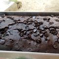 Cooksnap dari Marilyn Damanik untuk resep Muffin brownies chococips cemilan anak balita