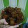 Cooksnap dari Sekar Arum Fitriseva untuk resep Kikil bumbu kecap