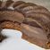 El cooksnap de Selena Grimes Rodriguez cuando hizo Bizcocho mágico de cacao.