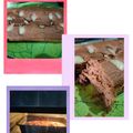 Cooksnap dari Elizabeth Handini untuk resep Pumpkin bread low carb #rotiketo #rotidebm