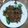 Cooksnap dari eriecha Darsim untuk resep Tumis Oncom Kemangi