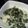 Cooksnap dari Sherly Augustine untuk resep Sayur daun singkong masak santan