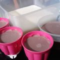 Cooksnap dari miki mareta siregar untuk resep SILKY PUDING | Puyo - Puding Loyo