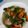 Cooksnap dari Michi Hikari untuk resep Garang asem ayam (diet gm day 5)