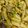 Zobia Sajjad's cooksnap of when they made Vegetables macaroni.