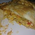 El cooksnap de Daiana cuando hizo Relleno de Pollo para tacos, tartas, empanadas, calzones, woks.