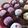 Cooksnap από common στη συνταγή Τρουφάκια με Merenda