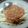 namirahamdan's cooksnap of when they made Vickys Spaghetti Bolognese, GF DF EF SF NF.