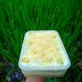 Cooksnap dari EKA ARISTYANI untuk resep Es Teller Roll cake (No Oven)