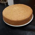 El cooksnap de Patri Valen Belardi cuando hizo Bizcochuelo Esponjoso😍.