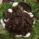 Cooksnap dari Dinan Ayu untuk resep Beef Teriyaki #KitaBerbagi