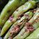 Juliben Dave's cooksnap of when they made ભરેલાં મરચાં (Bharela Marcha Recipe In Gujarati).