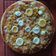 acica Cooksnap-ja, amikor elkészítette a(z) Pizzatészta 🍕 receptet.
