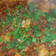 wrapwithmayra's cooksnap of when they made Azie's Picadillo.