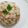 Cooksnap dari Megasari Sandra untuk resep Turkish pilav (nasi turki)