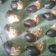 Cooksnap dari eka sri wahyuni untuk resep Nastar Kekinian