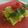 Somya Gupta's cooksnap of when they made Khandvi.