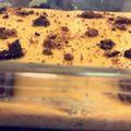 صورة من المهندسة👩‍🔧، شاركها بعد تجربة وصفة الحلى الأصفر💛