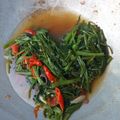 Cooksnap dari Herlina Gunawan untuk resep Tumis Kangkung Sederhana