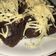 Cooksnap dari Antonia Caesarly Santosa untuk resep 1. Brownies panggang oreo keju (pake happy call & tanpa mixer)