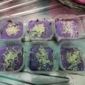 Cooksnap dari Mirna Yustina untuk resep # Brownies cup Lumer