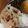 Kusum Parmar's cooksnap of when they made તંદૂરી તવા રોટી (Tandoori Tava Roti Recipe In Gujarati).
